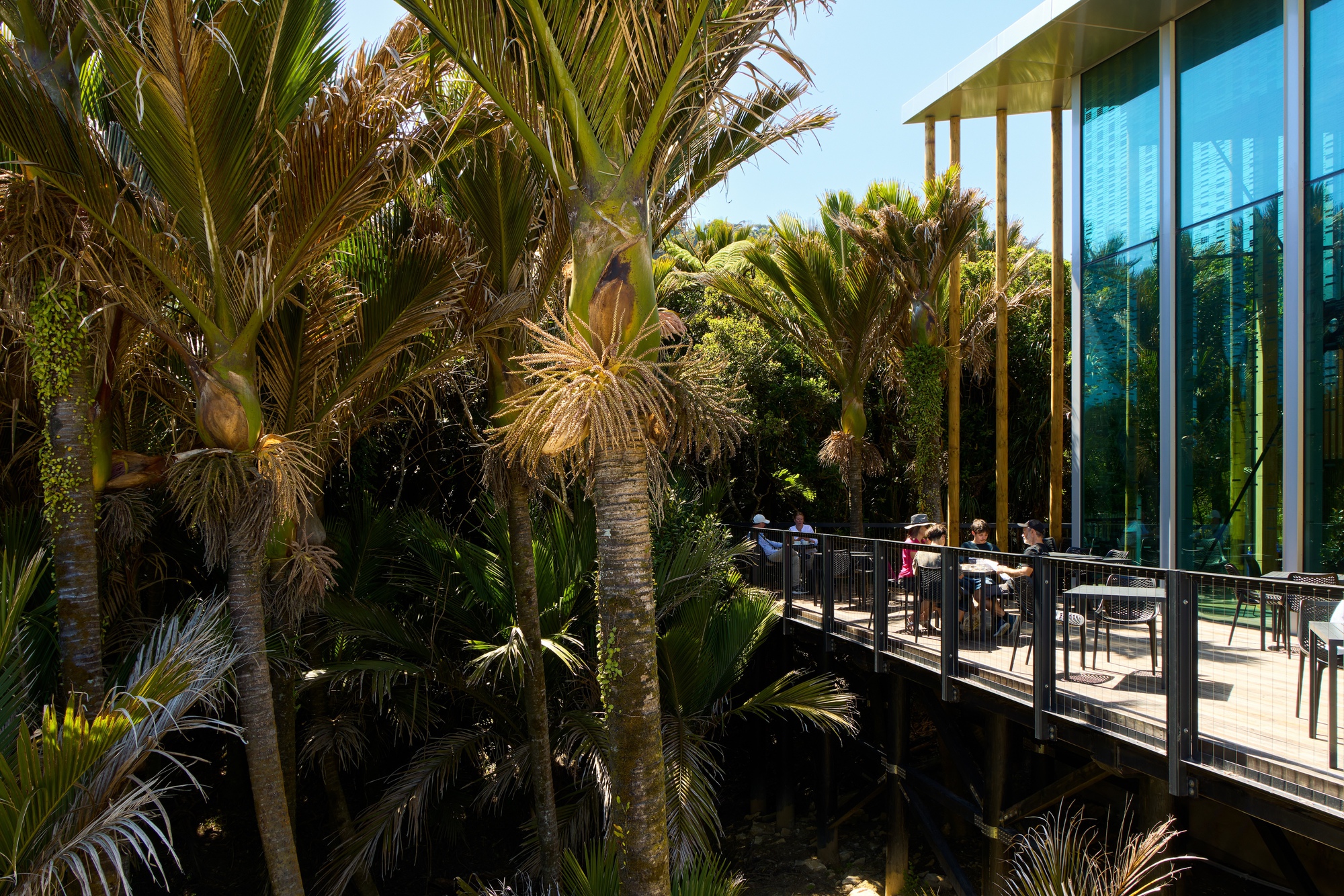 Punangairi Visitor Centre / Sheppard & Rout Architects - Image 9 of 30