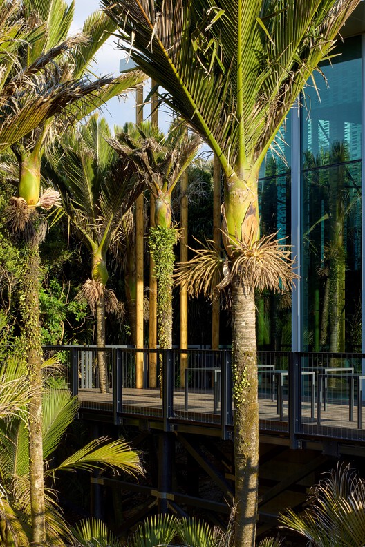 Centro de visitantes Punangairi / Sheppard & Rout Architects - Imagen 8 de 30