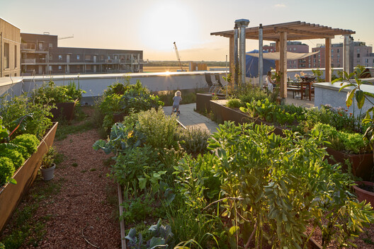 Vivienda compartida Múnich / AllesWirdGut Architektur - Fotografía exterior, Jardín, Patio interior, Balcón