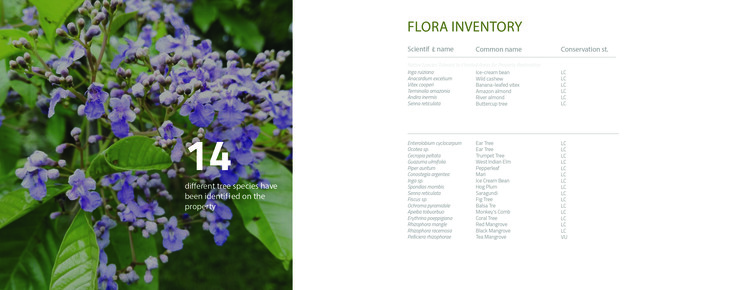 CONSCIOUSLY DRIVEN: En Conversación con VOID, el Estudio Costarricense que Impulsa la Arquitectura Regenerativa - Imagen 14 de 20