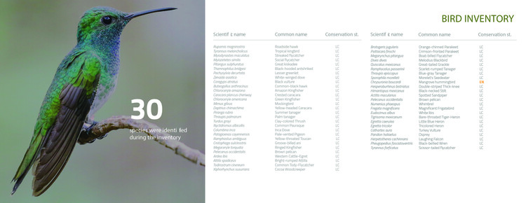 CONSCIOUSLY DRIVEN: En Conversación con VOID, el Estudio Costarricense que Impulsa la Arquitectura Regenerativa - Imagen 15 de 20