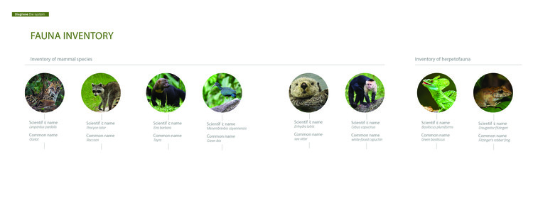 CONSCIOUSLY DRIVEN: En Conversación con VOID, el Estudio Costarricense que Impulsa la Arquitectura Regenerativa - Imagen 17 de 20