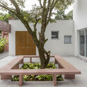Forest House / RAWI Arquitetura + Design - Interior Photography, Houses, Garden