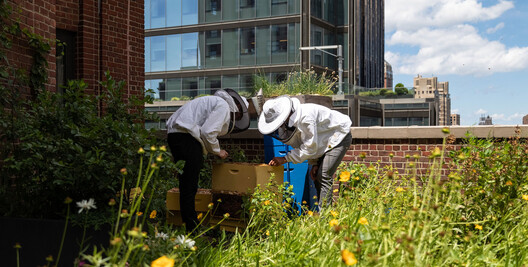 Bugs, Bees, and Trees: How to Integrate Biodiversity in the Built Environment - Image 2 of 14