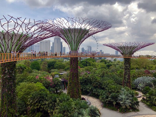Bugs, Bees, and Trees: How to Integrate Biodiversity in the Built Environment - Image 6 of 14