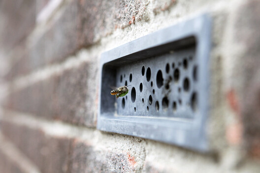 Bugs, Bees, and Trees: How to Integrate Biodiversity in the Built Environment - Image 3 of 14