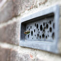 Bugs, Bees, and Trees: How to Integrate Biodiversity in the Built Environment - Image 2 of 4