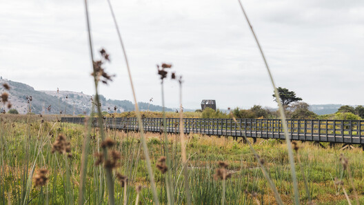 Bugs, Bees, and Trees: How to Integrate Biodiversity in the Built Environment - Image 13 of 14