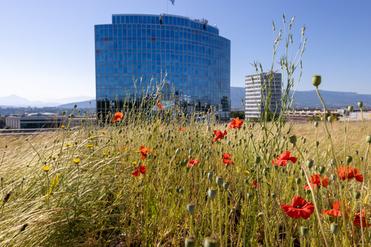 Bugs, Bees, and Trees: How to Integrate Biodiversity in the Built Environment - Image 11 of 14