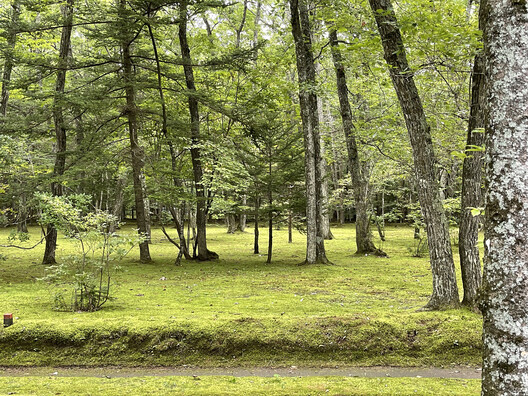 Casa Kokeniwa / Cell Space Architects - Imagem 12 de 21