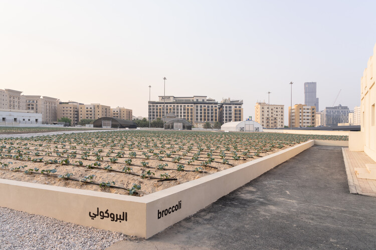 AMO / OMA Explores the Future of Rural Living with “Countryside: A Place to Live, Not to Leave” in Doha - Image 10 of 18