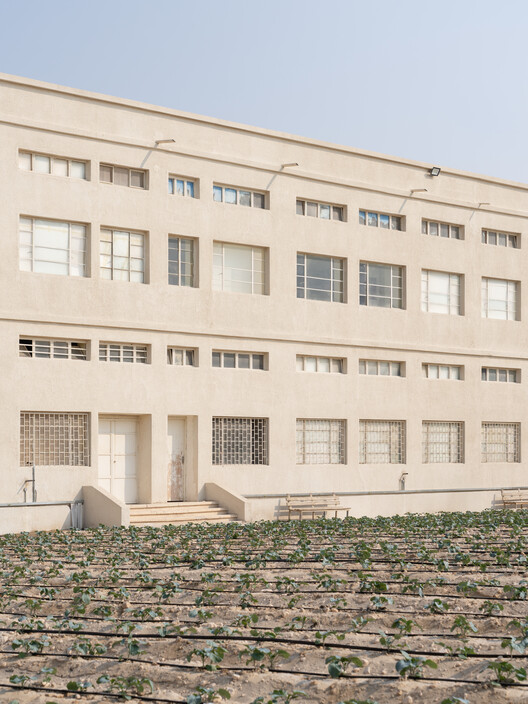 AMO / OMA Explores the Future of Rural Living with “Countryside: A Place to Live, Not to Leave” in Doha - Image 11 of 18