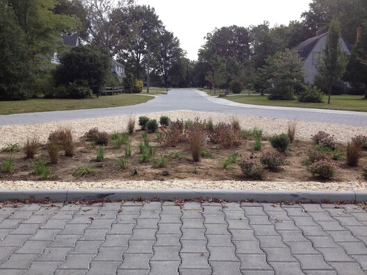 The Temperature of Inequality: Rethinking Urban Surfaces for a Changing Climate - Image 4 of 6