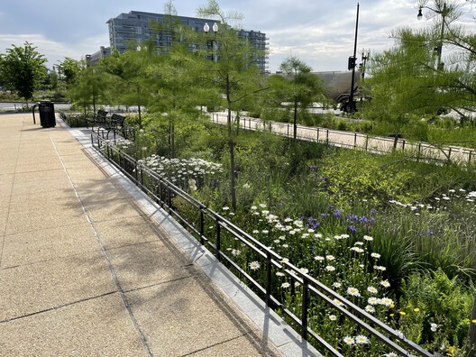 The Temperature of Inequality: Rethinking Urban Surfaces for a Changing Climate - Image 6 of 6