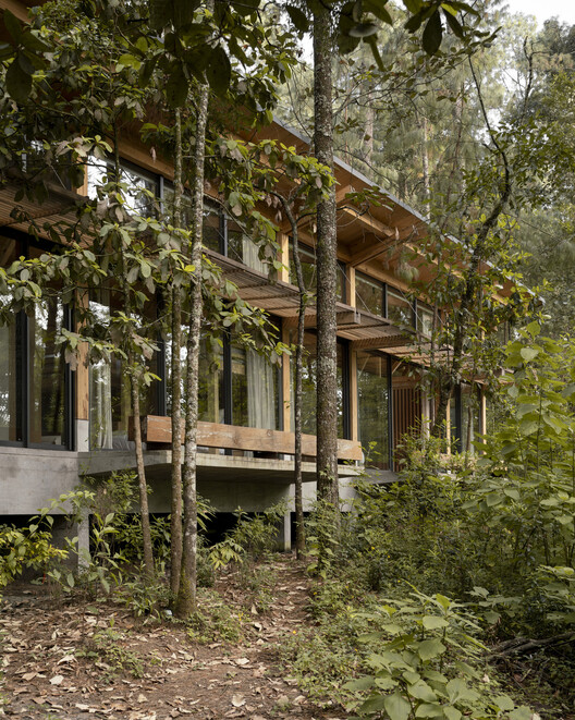 Casa en El Bosque / Vasconcelos Arquitectura + Espacio Tangible - Fotografía exterior, Madera, Bosque