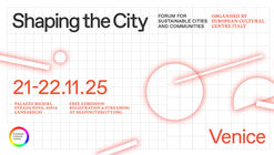 Shaping the City Venice
