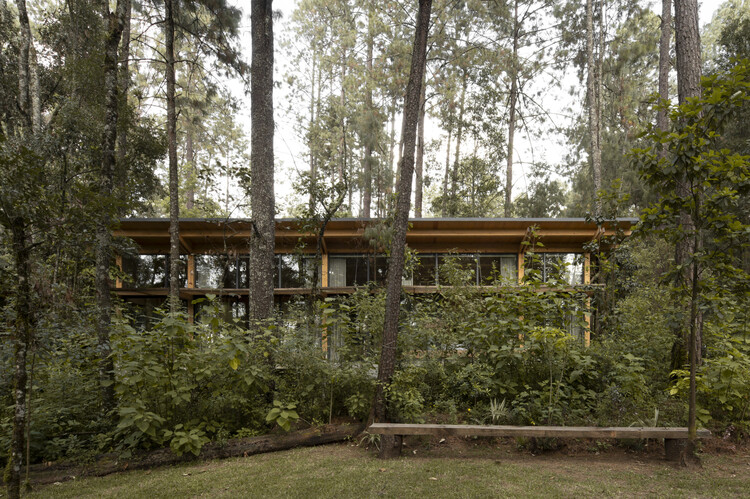 Casa El Bosque / Vasconcelos Arquitectura + Espacio Tangible - Imagen 7 de 27