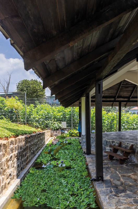 Dau Tam 住宅 / 6717 Studio Dau Tam 住宅 / 6717 Studio - 室内图, 花园