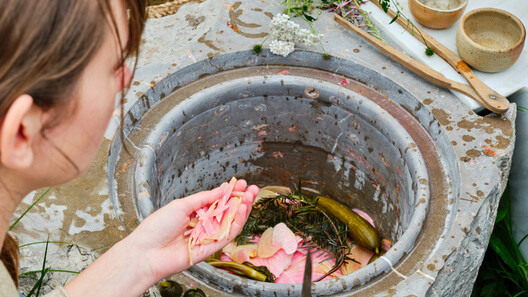 Beyond Human-Centered Architecture: Designing Spaces with Other Species Beyond Human-Centered Architecture: Designing Spaces with Other Species - Image 3 of 28