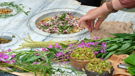 Beyond Human-Centered Architecture: Designing Spaces with Other Species Beyond Human-Centered Architecture: Designing Spaces with Other Species - Image 5 of 28