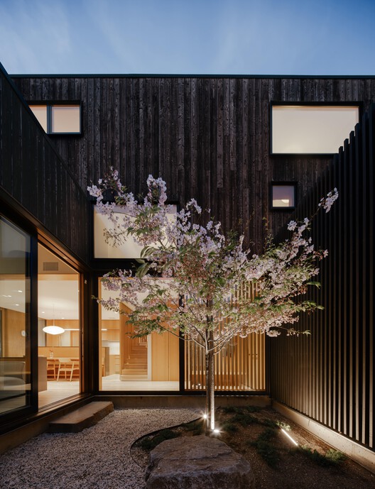 Cupertino Courtyard House / SHED Architecture & Design - Image 22 of 23