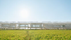 张北海市 / BUZZ 建筑事务所