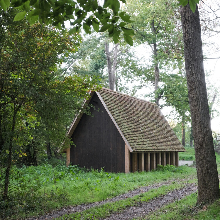 Retour de Chasse / abra - Fotografia de Exterior, Madeira, Floresta