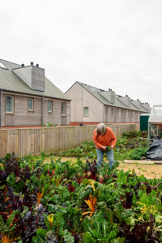 Hazelmead Bridport Co-Housing / Barefoot Architects - Exterior Photography, Garden