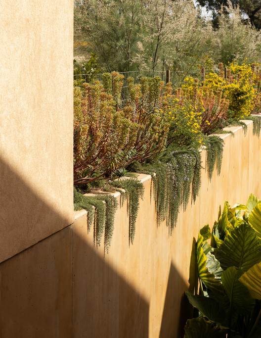 Resort Praia do Canal en la Naturaleza / Atelier Bugio - Imagen 10 de 23