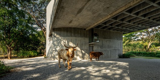 Casa W II / IDIN Architects - Fotografía exterior