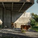 W House II / IDIN Architects - Houses