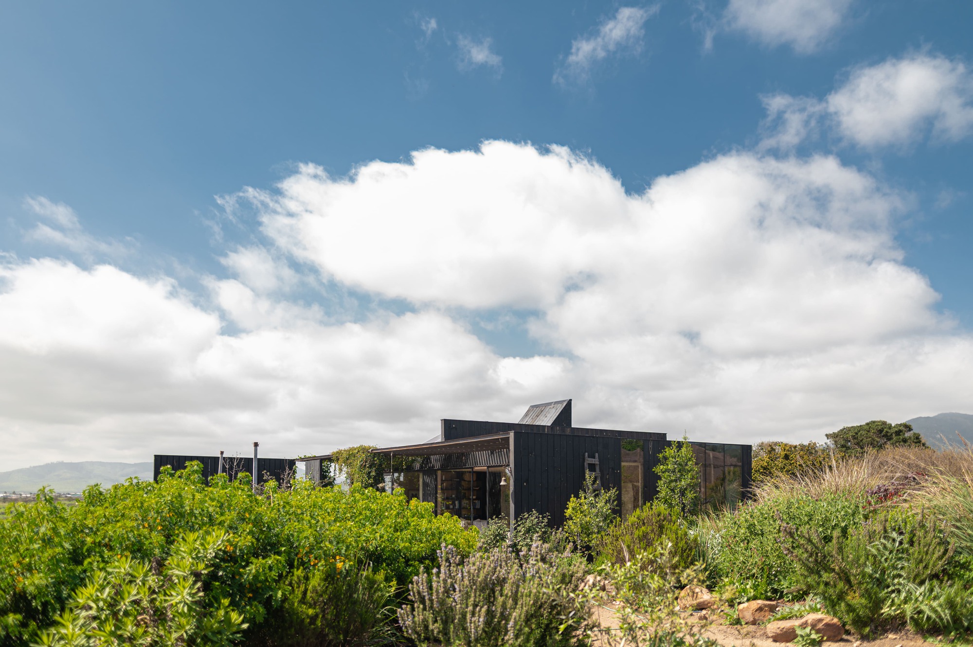 El Tome House / COLECTIVO