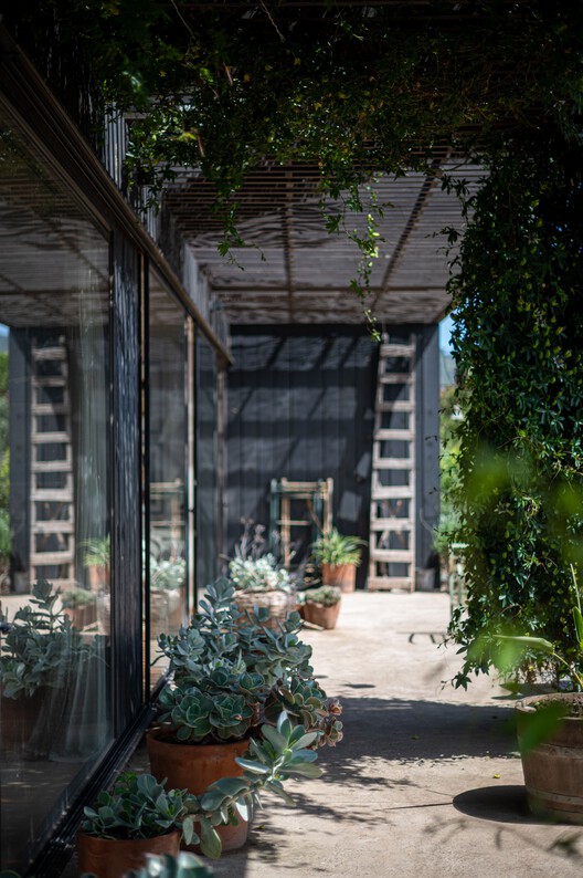 Casa El Tome / COLECTIVO - Fotografía exterior, Madera, Jardín, Patio interior