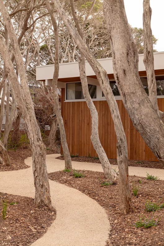 Casa en Anglesea / MGAO - Fotografía interior, Madera