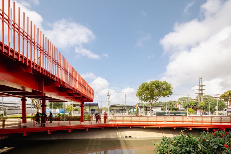 Pier Linear Park/Naturaleza Urbana – Imagen 10 de 26