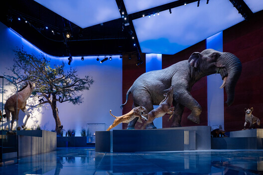 Mecanoo’s Natural History Museum Opens in Abu Dhabi’s Saadiyat Cultural District - Image 10 of 13