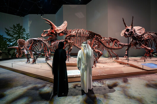 Mecanoo’s Natural History Museum Opens in Abu Dhabi’s Saadiyat Cultural District - Image 8 of 13