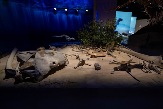 Mecanoo’s Natural History Museum Opens in Abu Dhabi’s Saadiyat Cultural District - Image 12 of 13