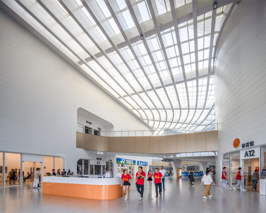 新昌小球中心 / line+ studio - 室内图