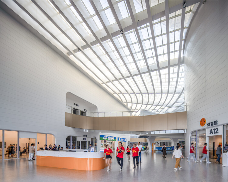 新昌小球中心 / line+ studio - 室内图