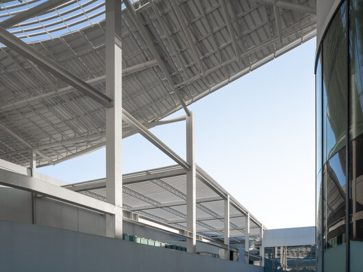 新昌小球中心 / line+ studio - 15 的图像 47