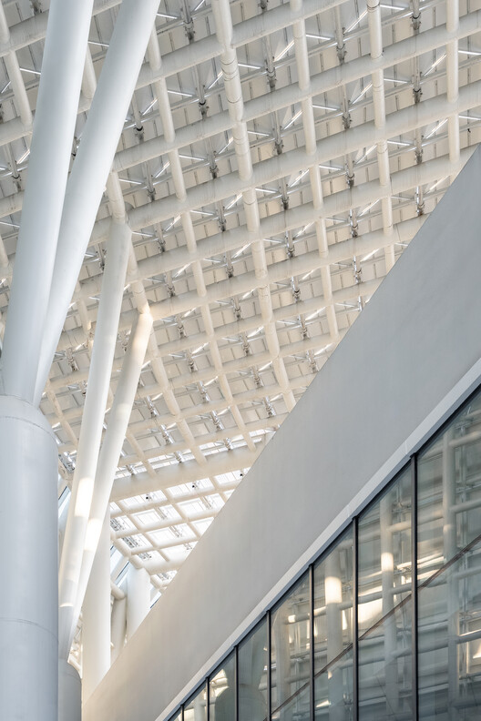 新昌小球中心 / line+ studio - 14 的图像 47