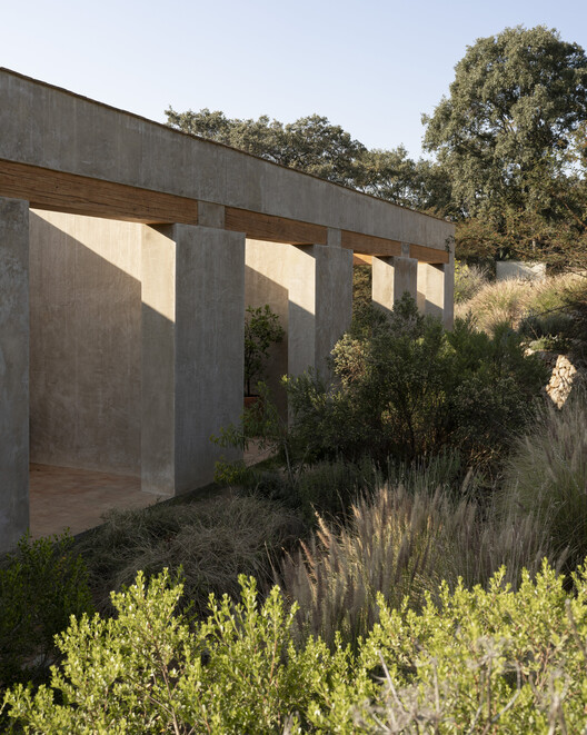 Casa Toronjos / PPAA - Imagen 21 de 24