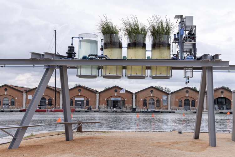 The 2025 Venice Architecture Biennale Ends, Marking the Event’s Most Visited Edition - Image 5 of 8