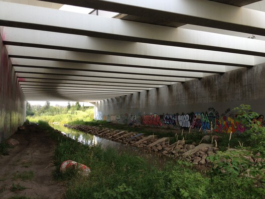 Local Knowledge and Ecological Context: City Making Lessons from Chicago’s Wild Mile - Image 7 of 12