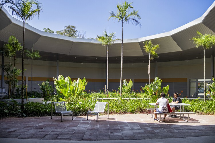 Parque Edson Arantes do Nascimento - Rei Pelé / Biselli Katchborian Arquitetos + Consonante Arquitetura e Integração - Fotografía de exteriores, Jardín