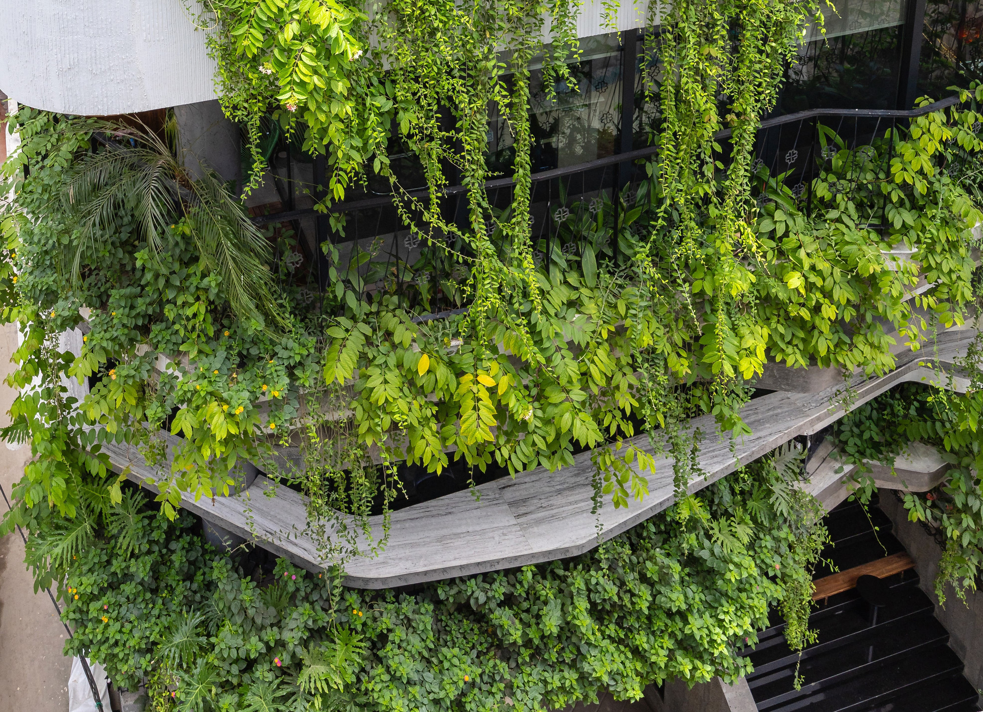 LYM SPACE / PAK Architects - Image 9 of 18