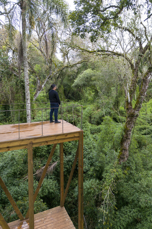 Parque Provincial Urugua-í: amplificadores de paisaje / ENNE Arquitectura - Fotografía exterior, Madera, Bosque