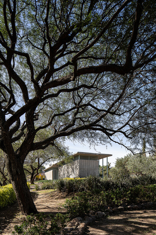 Servicios de Salud Parque Metropolitano / estrategia-a - fotografía exterior