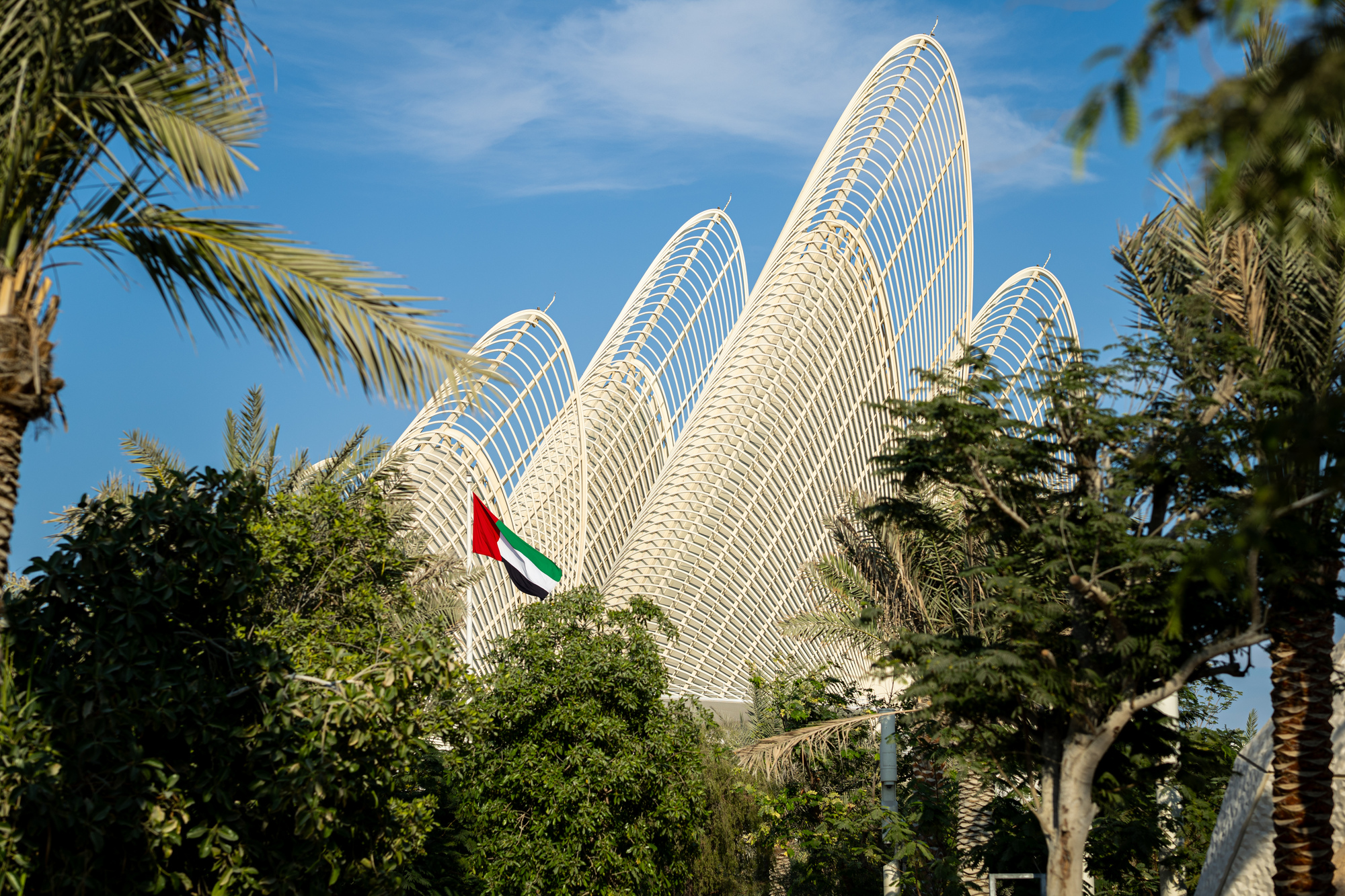 Foster + Partners' Zayed National Museum Opens to the Public in Abu Dhabi